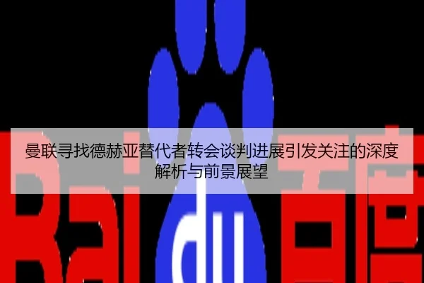曼联寻找德赫亚替代者转会谈判进展引发关注的深度解析与前景展望